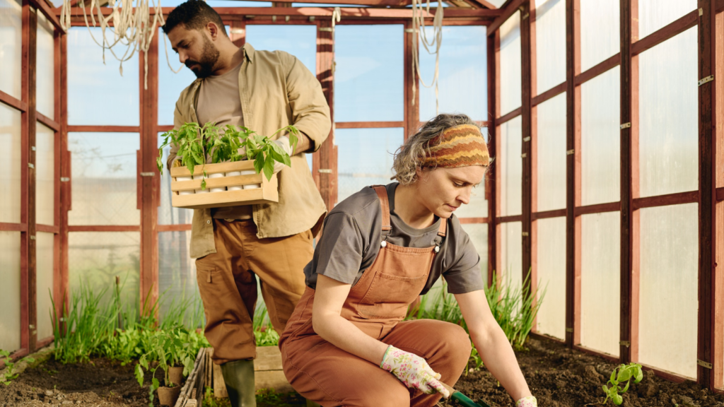 15 Lessons You'll Learn in Your First Year of Homesteading