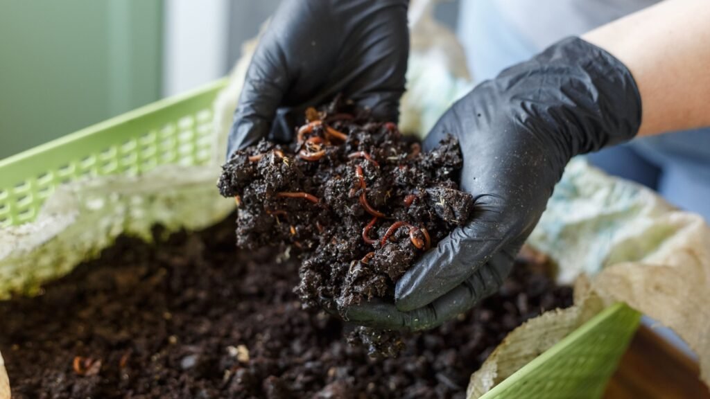 homemade worm composting