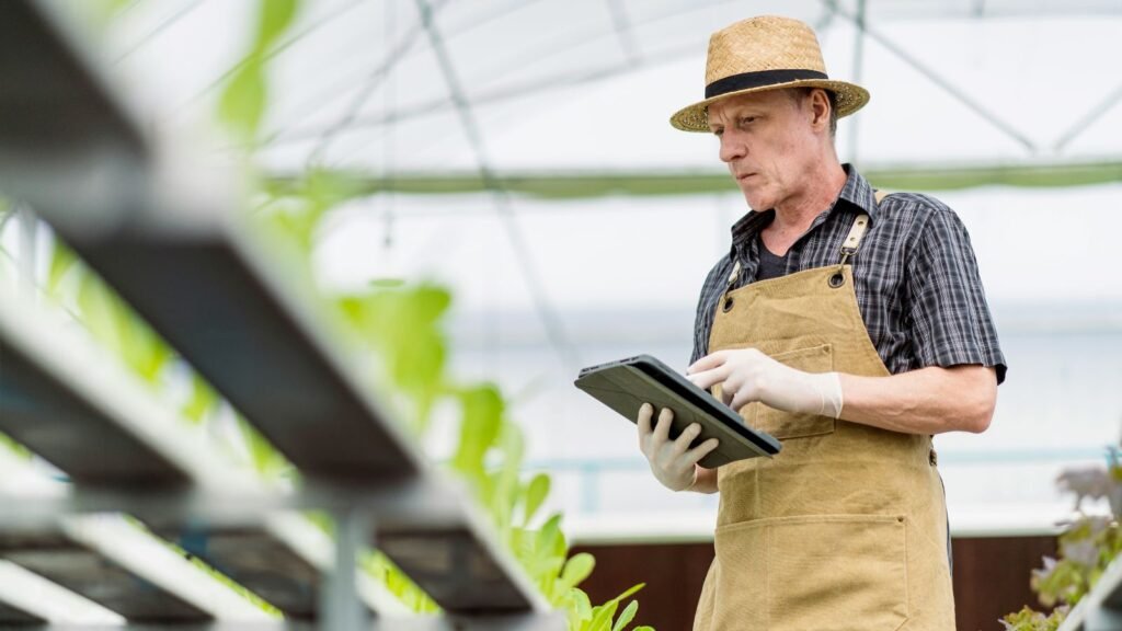 a man looking on a vegetable garden