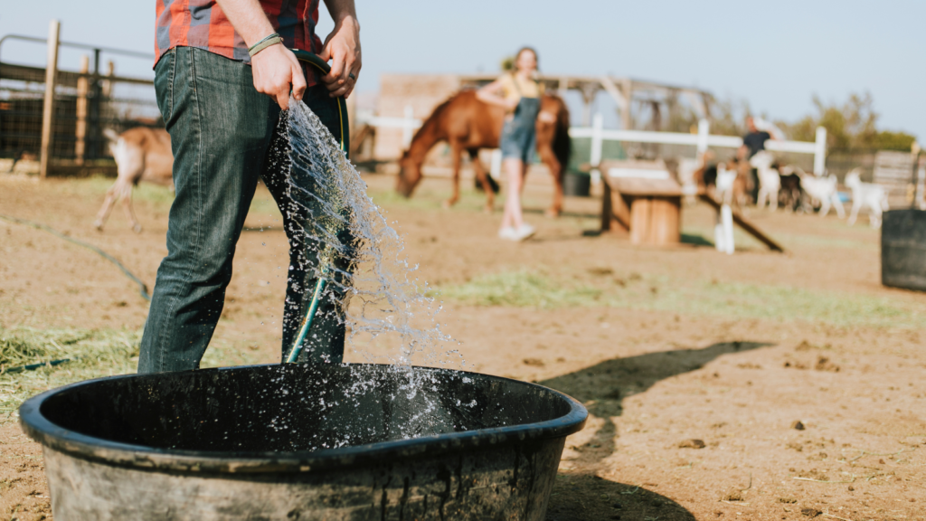 farmer filling up a tub with water