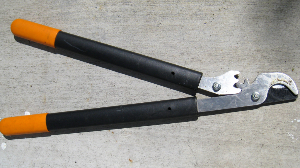 pruning shears, loppers