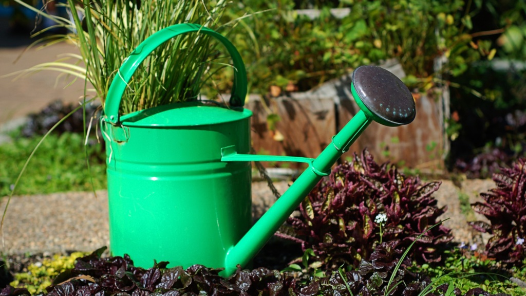 watering can