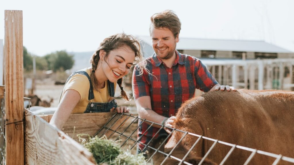 couple smiling while feeding cow