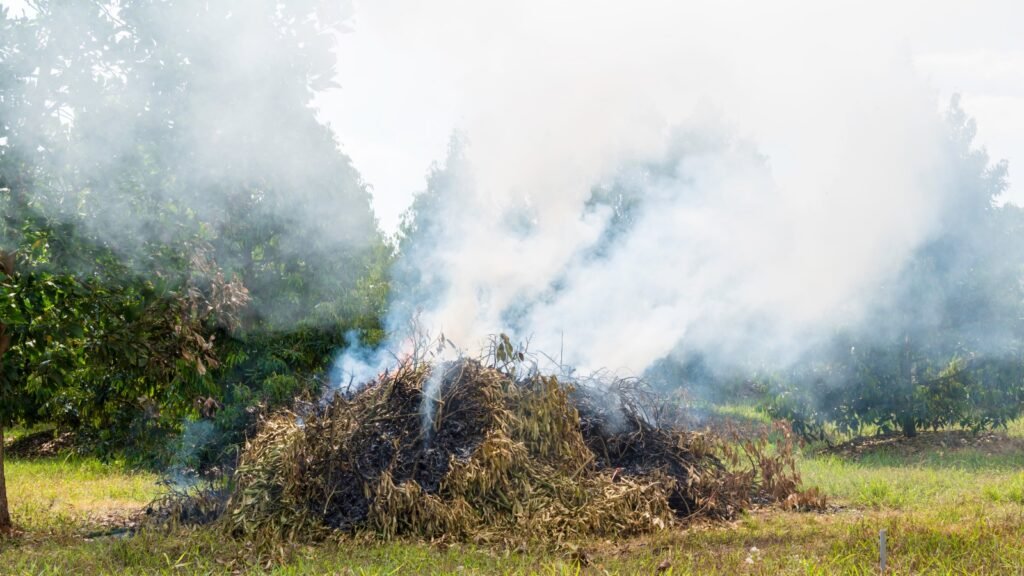 Creating Smoke Signals for Rescue