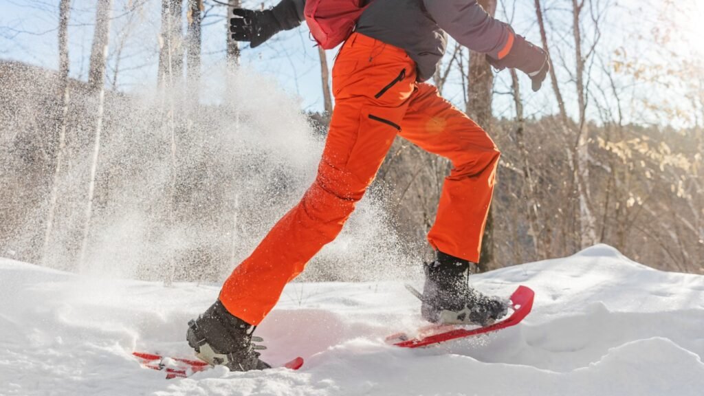 Down or Synthetic-Insulated Pants