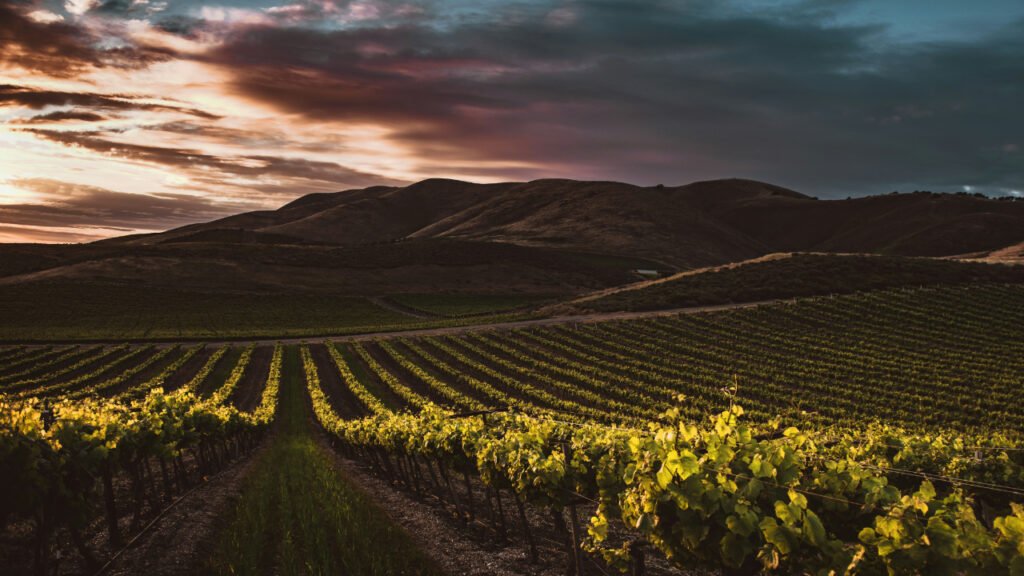 California farmland